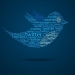 Twitter Nasil Kullanilir