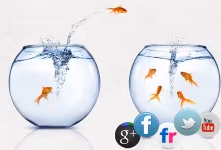 Sosyal-Medya-Operasyonu Sosyal-Medya-Operasyonu