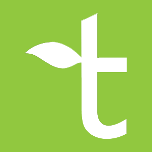 Teknofik是