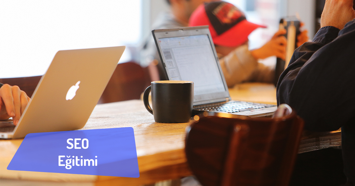 SEO Eğitimi