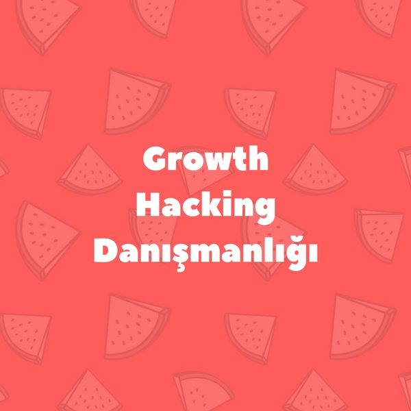 Growth Hacking Consulting