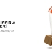Dropshipping Egitimi