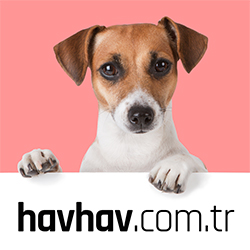 Havhav