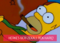 Herkes Geri Zekali