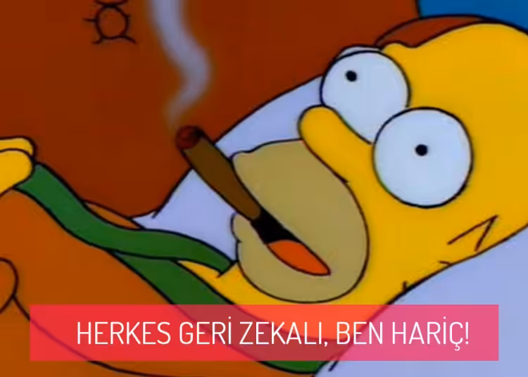 Herkes Geri Zekali
