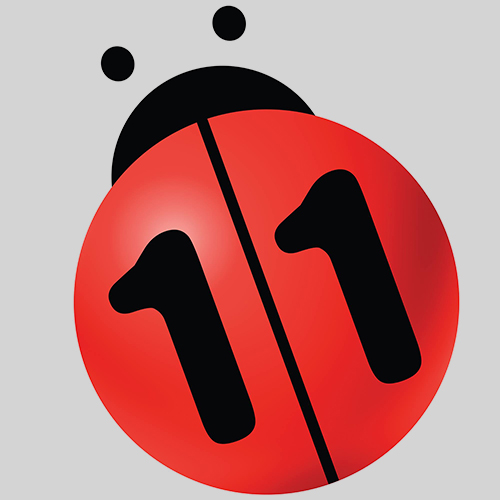 N11 N11