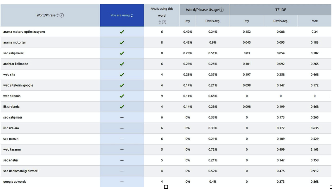 Seo Checker Detay
