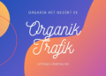 Organik Trafik