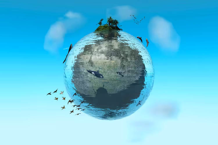 Ekosistem-Uzerindeki-Internetin-Etkisi-