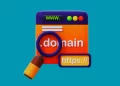 Domain Seçimi