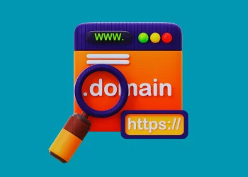 Domain Seçimi