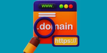 Domain Seçimi
