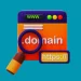 Domain Seçimi