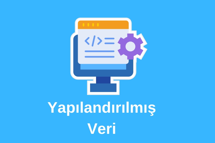 yapilandirilmiş-veri