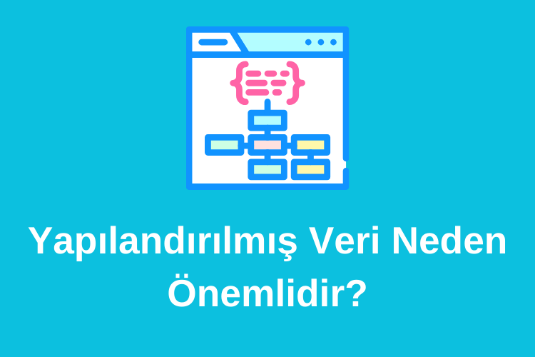 yapilandirilmiş-veri-neden-önemli