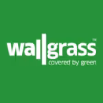 Wallgrass