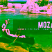 Mozambik Blog Gorseli
