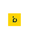Bloomreach Logo